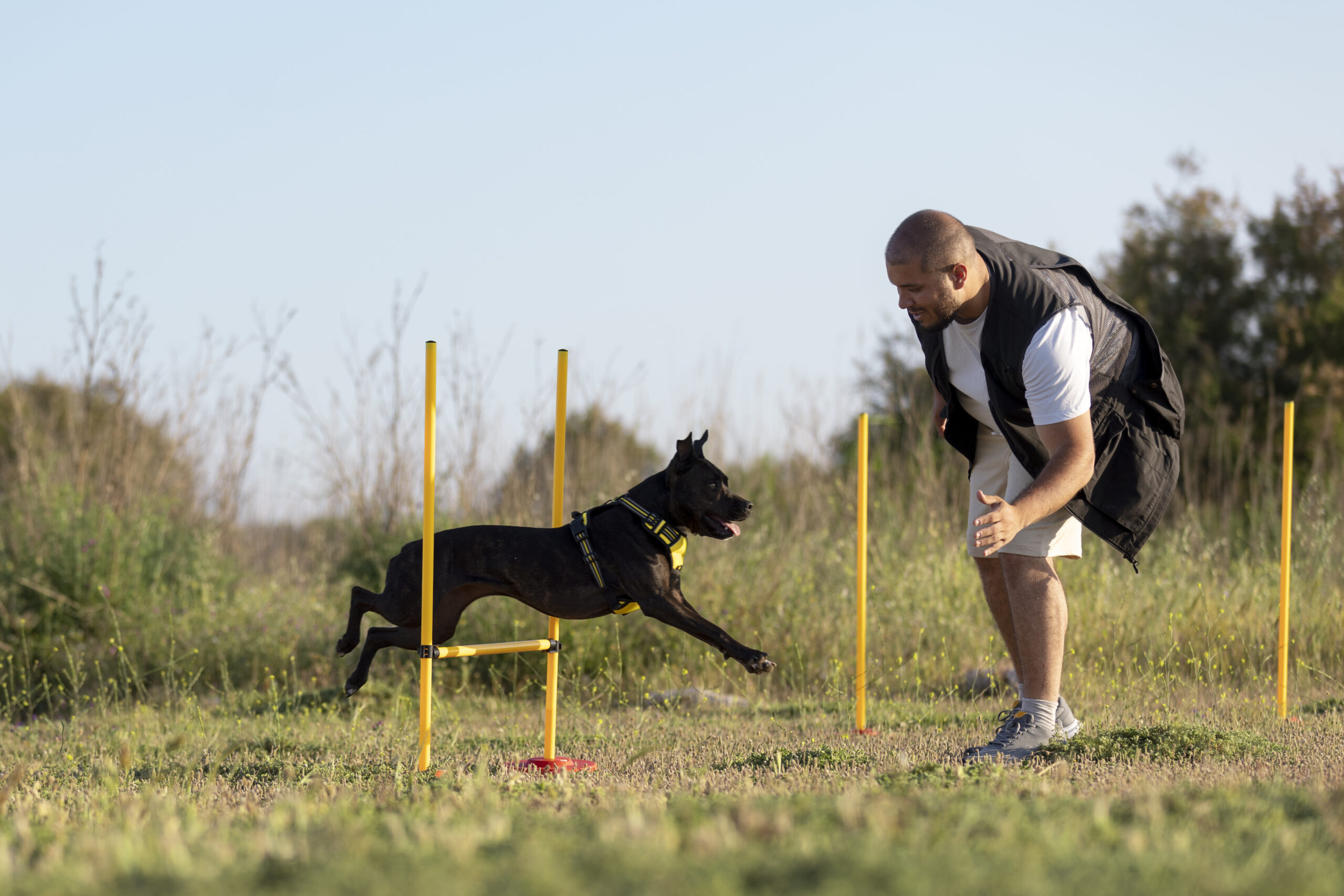 dog-trainer-teaching-dog-run-though-obstacles-scaled